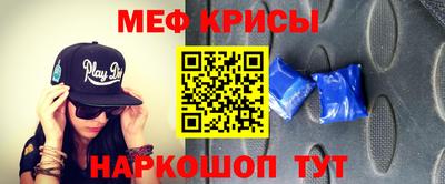 крисы Камышлов