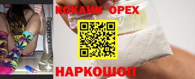 крисы Камышлов