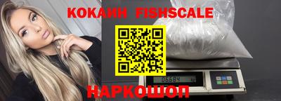 крисы Камышлов