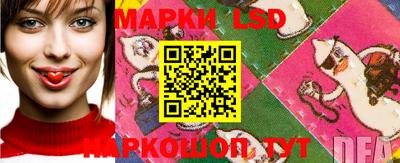 крисы Камышлов