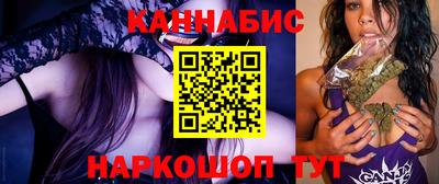 крисы Камышлов