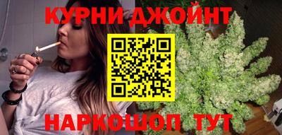 крисы Камышлов