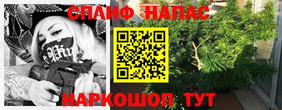 крисы Камышлов