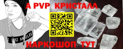 крисы Камышлов