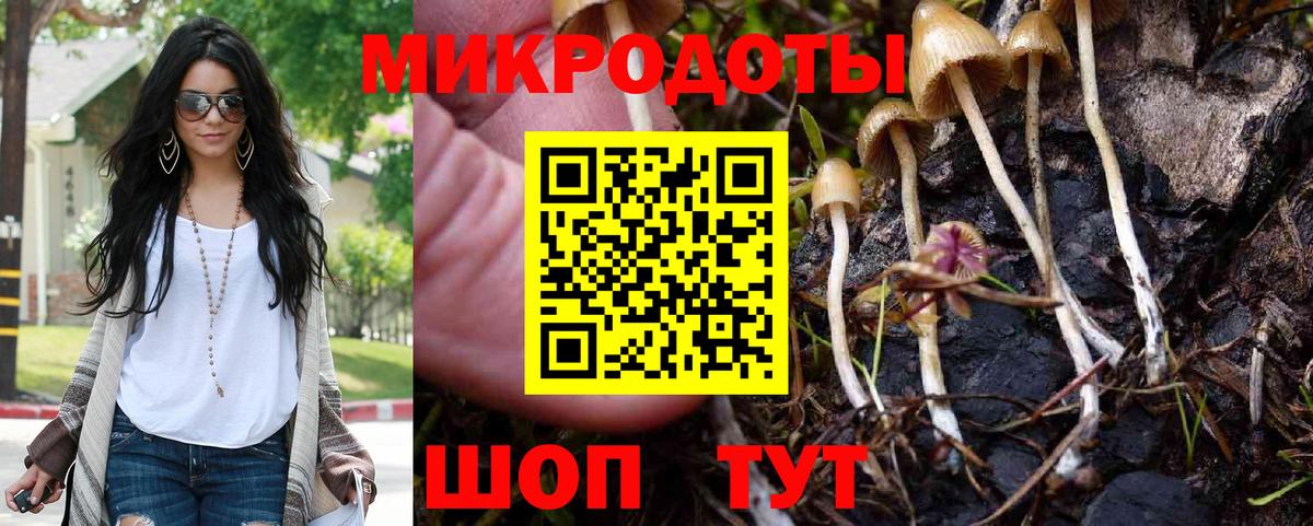 где купить   Псилоцибиновые грибы MAGIC MUSHROOMS  Вход с VPN  Псилоцибиновые грибы мицелий  Еманжелинск 